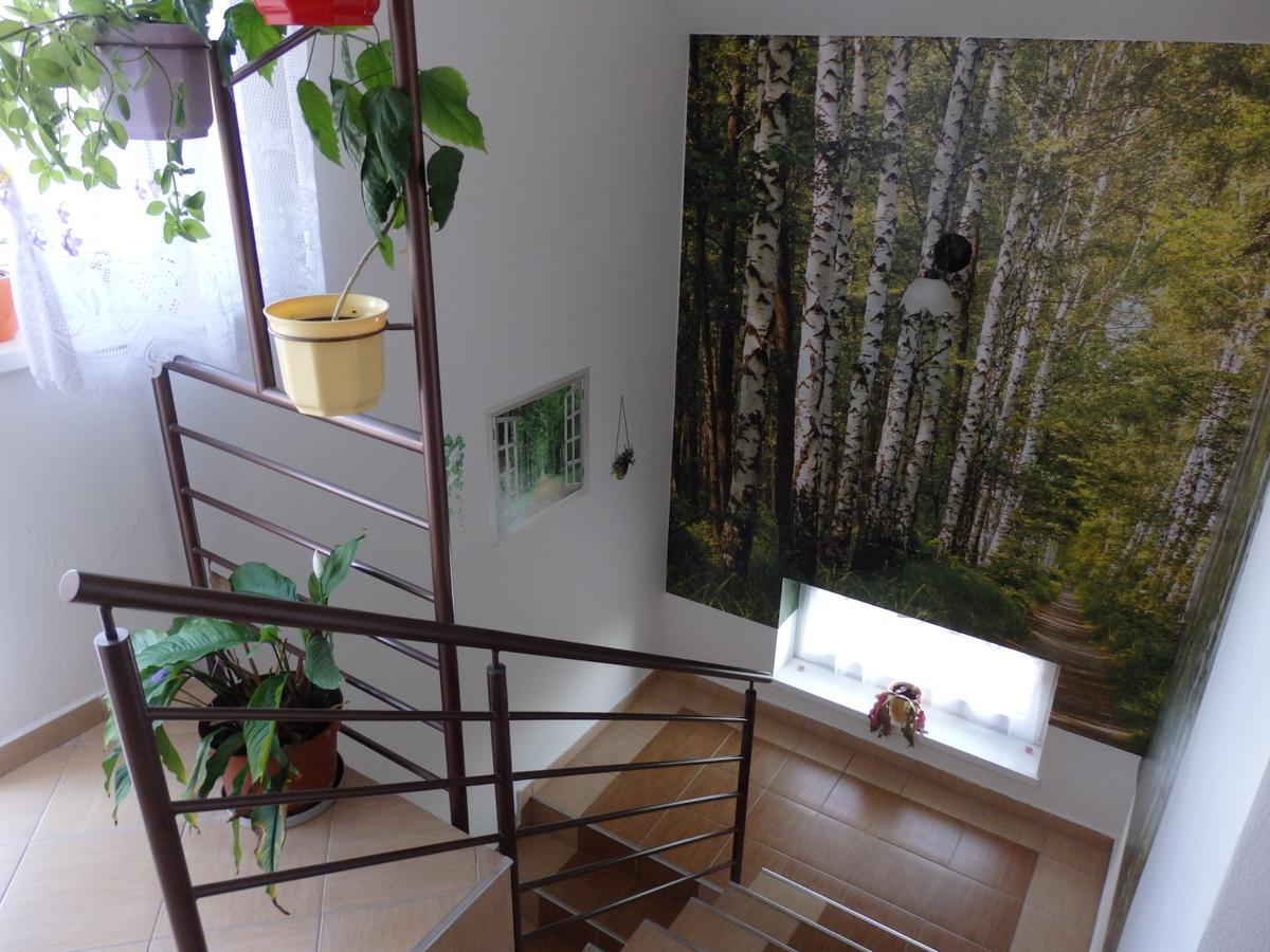 Pivnicka Pod Cachtickym Hradom Otel Čachtice Dış mekan fotoğraf